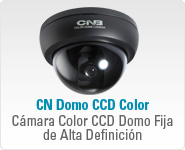 CN Domo CCD Color