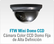 FTW Mini Domo CCD